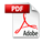 PDF Download - Icon